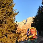 Eurohotel Mountain Wellness ホテル